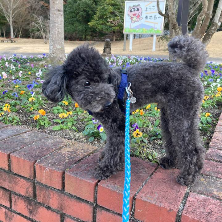 B788dd25 3978 4834 a2c9 019444dc70cd 1639914351546