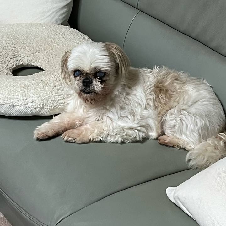 B7891600 87a1 473d 8be7 4e7f352318ff 1751456553290