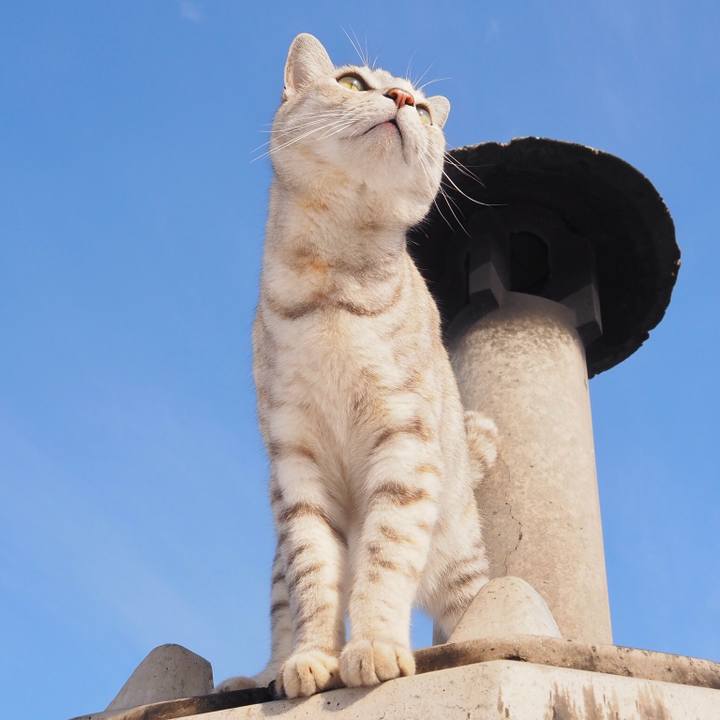 B789240b ba6a 479e 8e8a 479c5668f09a 1768647363010