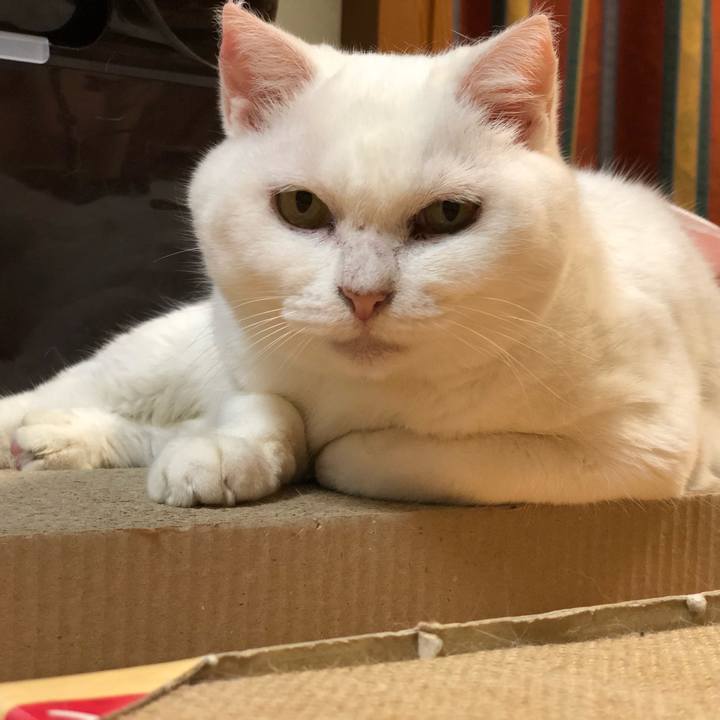 B7893364 0a2f 4fe4 ab23 cec0d3c7dfdc 1537012640205