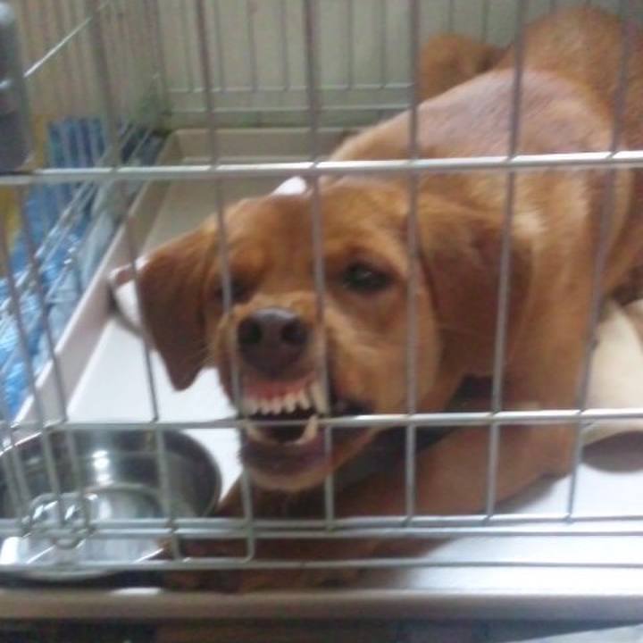 B7894bf2 9371 4452 8599 578b2a42df4f 1554032306365