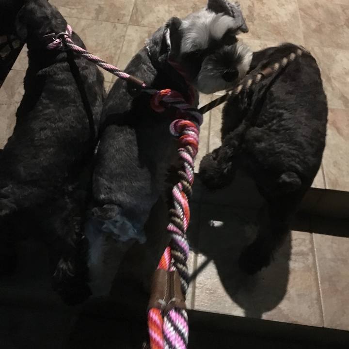 B7894cea 1dd9 45ac 9225 7d0b77738032 1508326457431