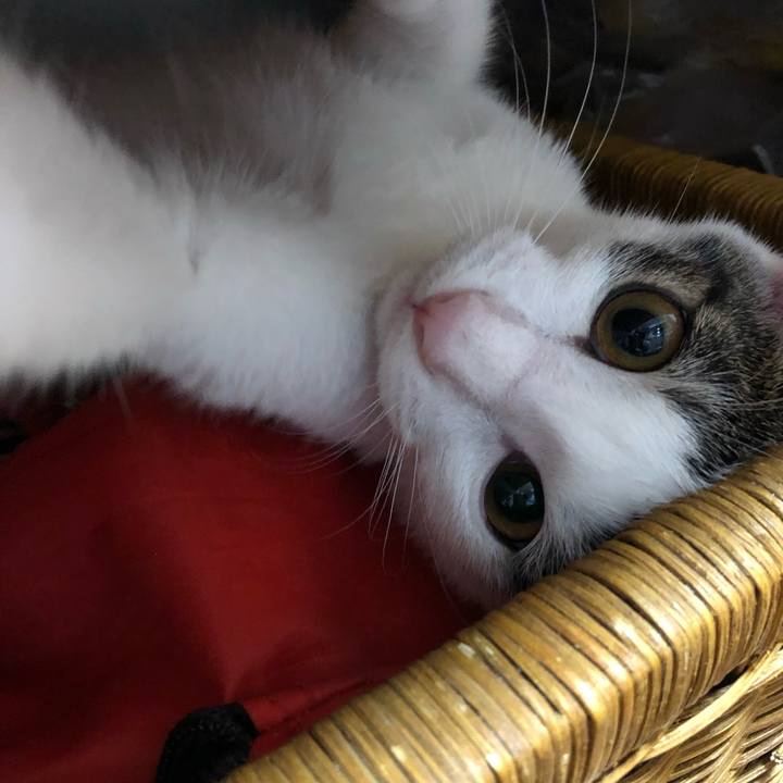 B7894fb2 c89e 416a b6df 4c944a4475b2 1568283947236