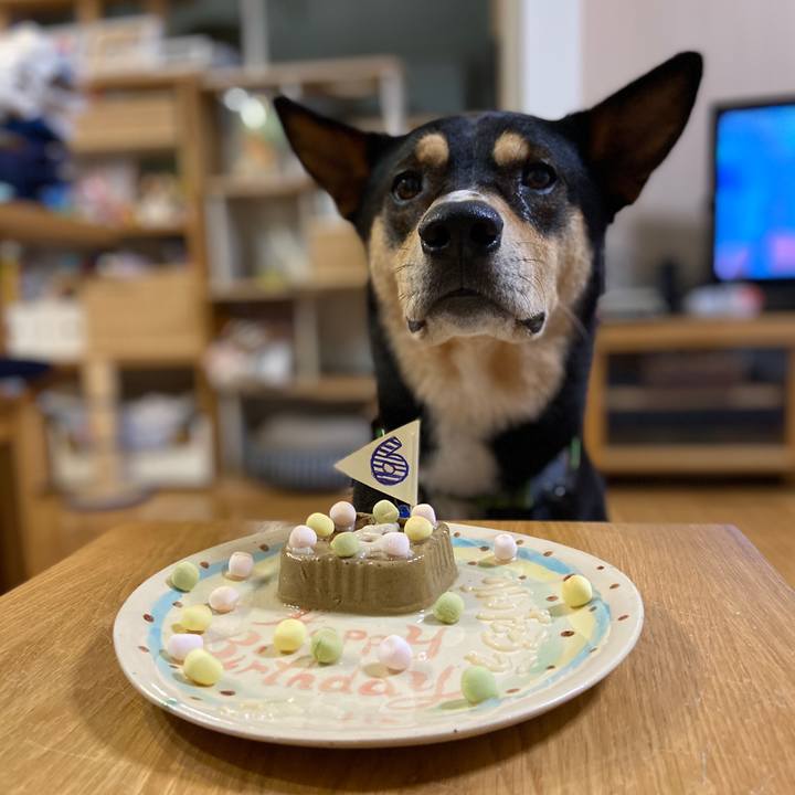 B789a52d cae9 4b8d b792 fe72ceb77c96 1626098656341