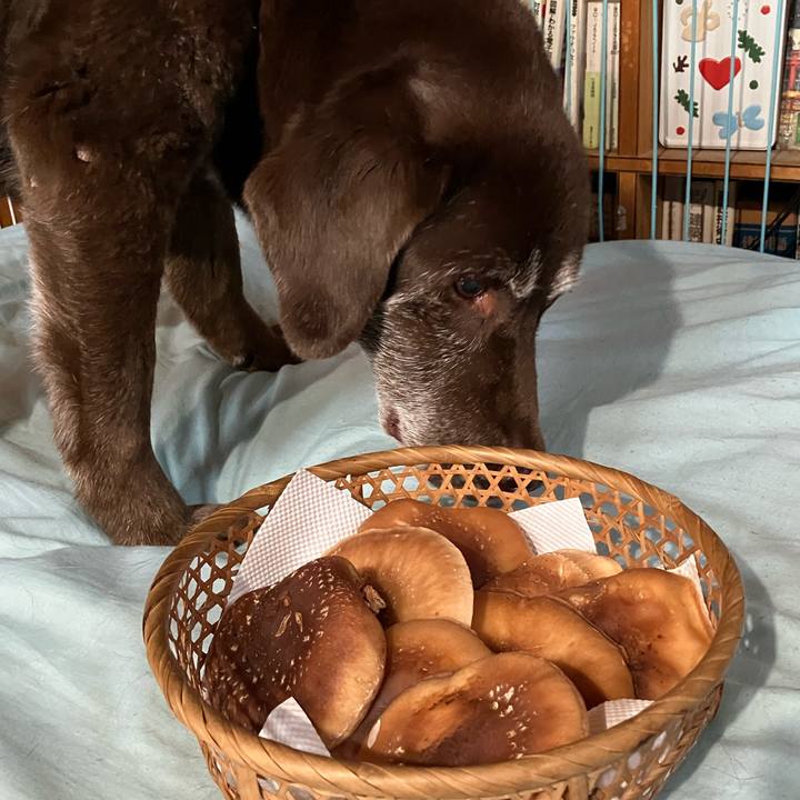 B789b73e 0a60 4632 9d24 bc1625ca4945 1776158241823