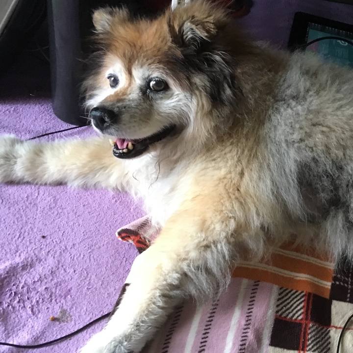 B789c557 5dea 47c1 a20e 1358438d2b10 1587902684812