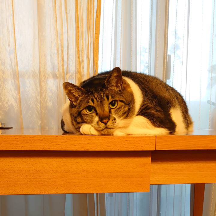 B78a2361 5038 4840 9410 7d3e9fdf1f16 1617957009243