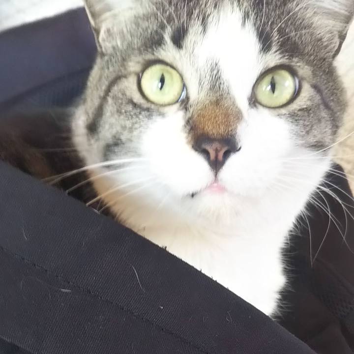 B78a30e3 c842 4b10 8e2e 2ea0d07535e2 1615435145958