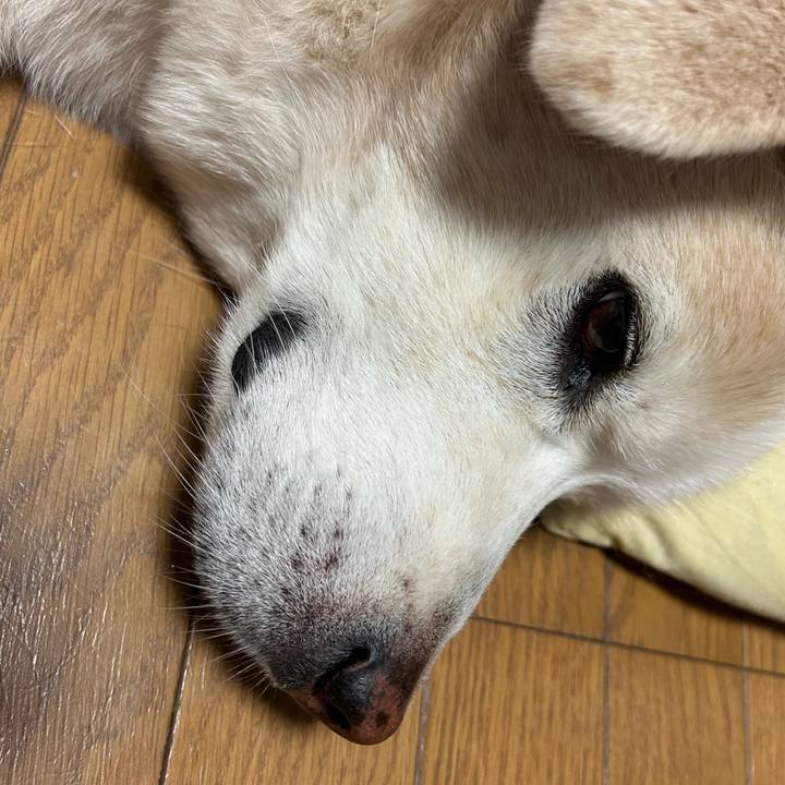 B78a64db 3f0c 41e8 8d22 1ef0d9174b1d 1730459939769