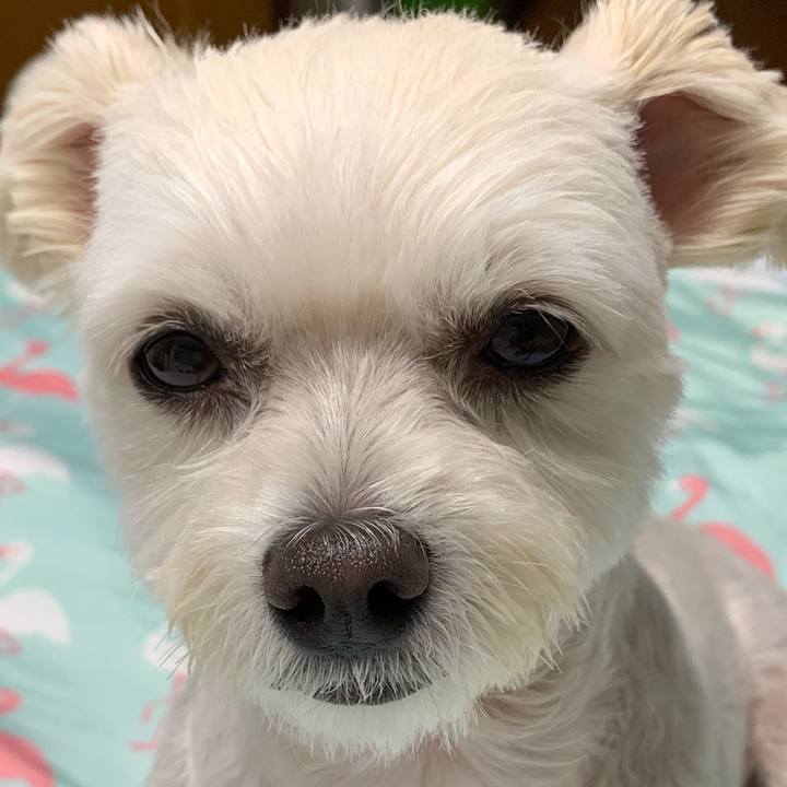 B78a740a 8720 4792 8cae 861eb304974a 1570281211412