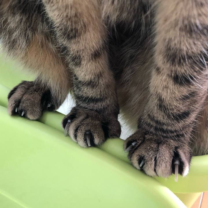 B78a77a9 cbf6 471b b716 87a21fcba2c3 1555012534847