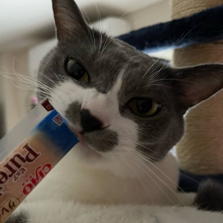 B78a7e85 199e 4cca 9a7a 4f962bc914a6 1662448263906