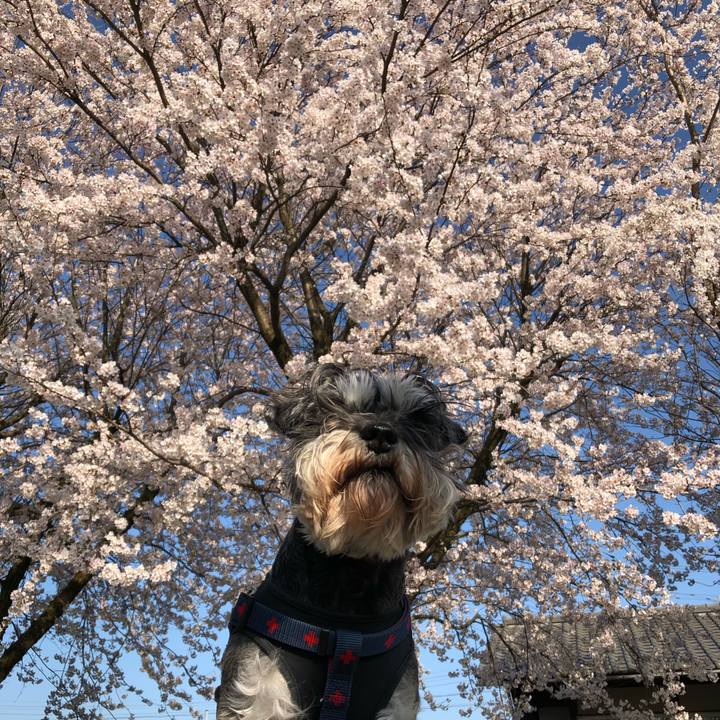 B78a891e 9874 450d 80a9 9254d49c6820 1617415524474