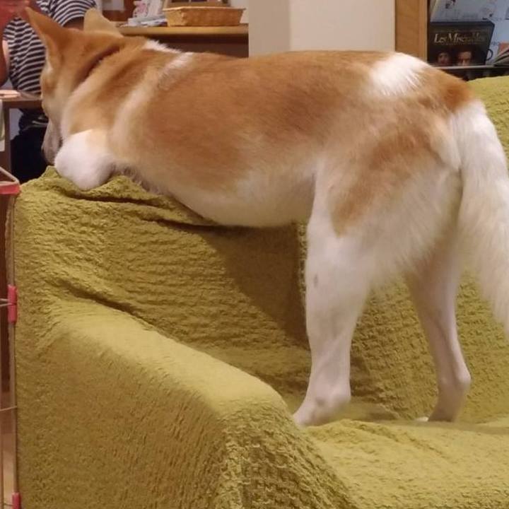 B78ab152 d922 45dd a817 ca213149039c 1507820738692