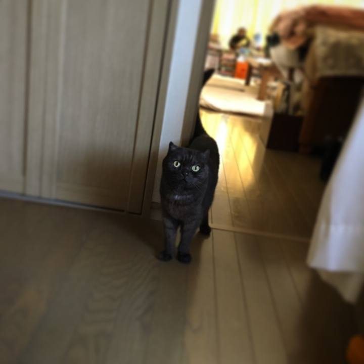 B78ab602 441e 4a21 80e4 93917b4dee12 1527812052552