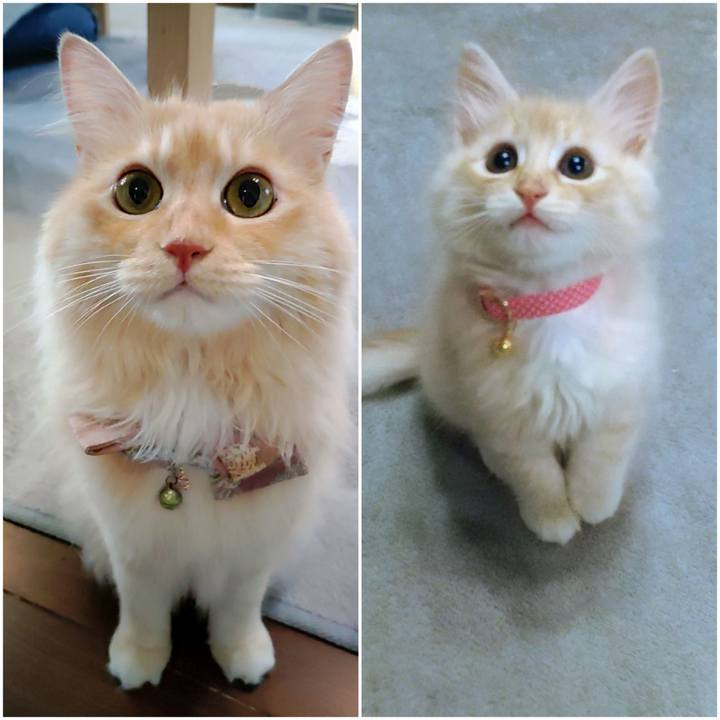 B78b213f 8413 459d b829 98553cc0fa04 1724019518290