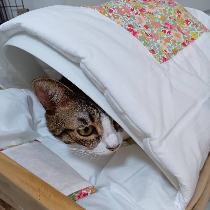 B78b5f16 79e3 4a51 846d 582278cbaea2 1758802665327