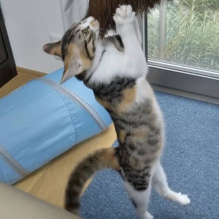 B78b74c9 441d 4cbf 83a7 d91c22960ce6 1629848739308