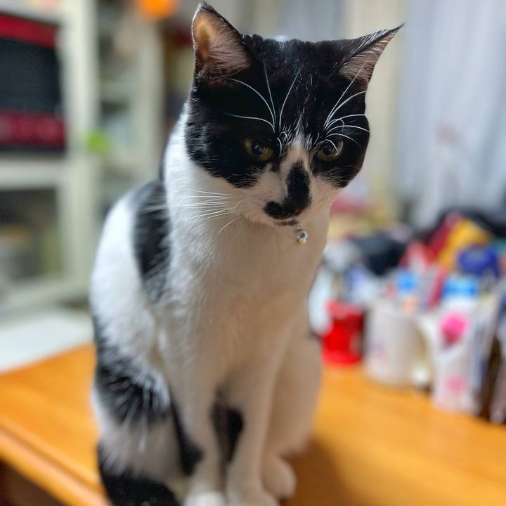 B78b7620 7b7d 4780 af21 fc8bfec20404 1739677744765