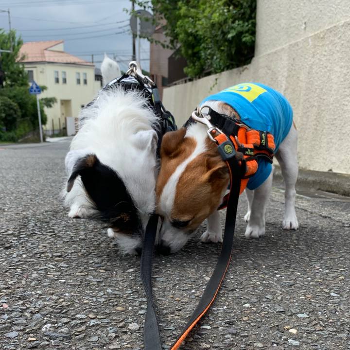 B78b8a52 1804 48b9 a07c 7222e2deb7e1 1562547066784