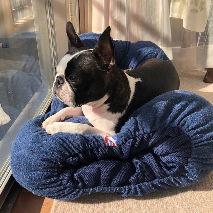 B78b8d17 a127 4f3b 8752 71fee4a7a601 1541637031765