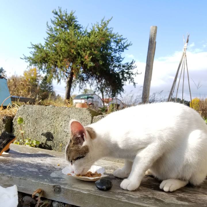 B78ba4d6 8159 404b b0b7 f86acdc6b1ce 1572413135850