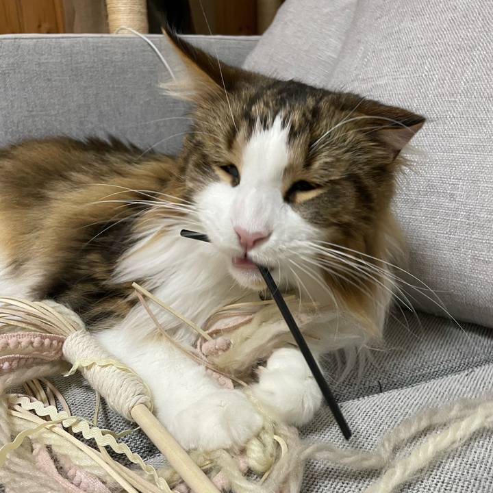 B78bc096 dbb9 4e2e b60b 368c491c96da 1672174945430