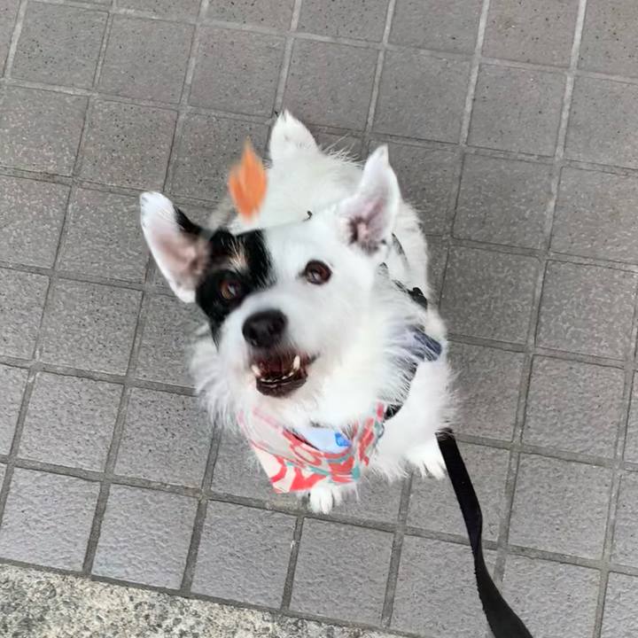 B78bf952 a851 4c4b ad64 ad37e6b1dc8b 1720341763515