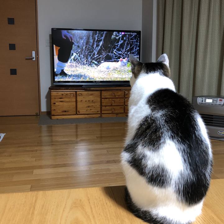 B78c159a 3df5 48d8 a4a4 047d4152e252 1608645657511