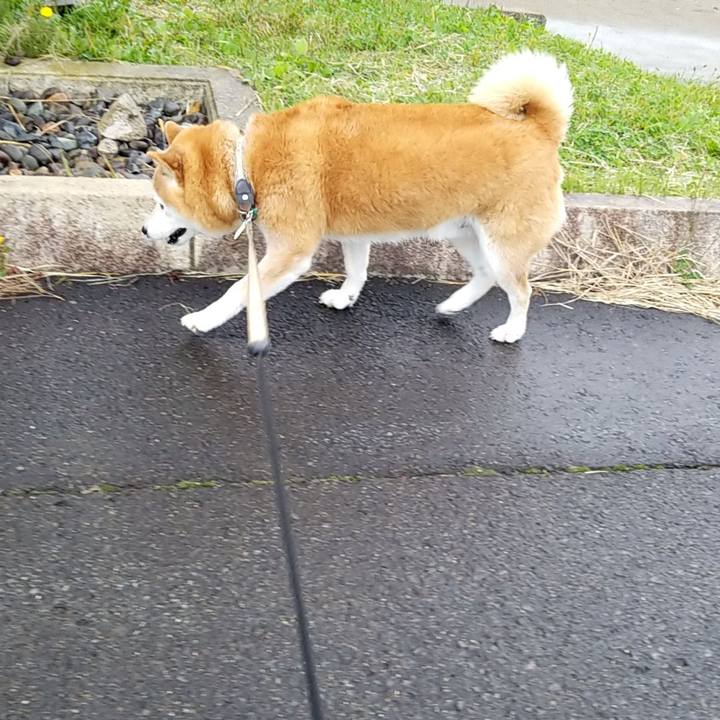 B78c2c88 9cbf 4bc6 bd43 75040dc008ed 1666069065902