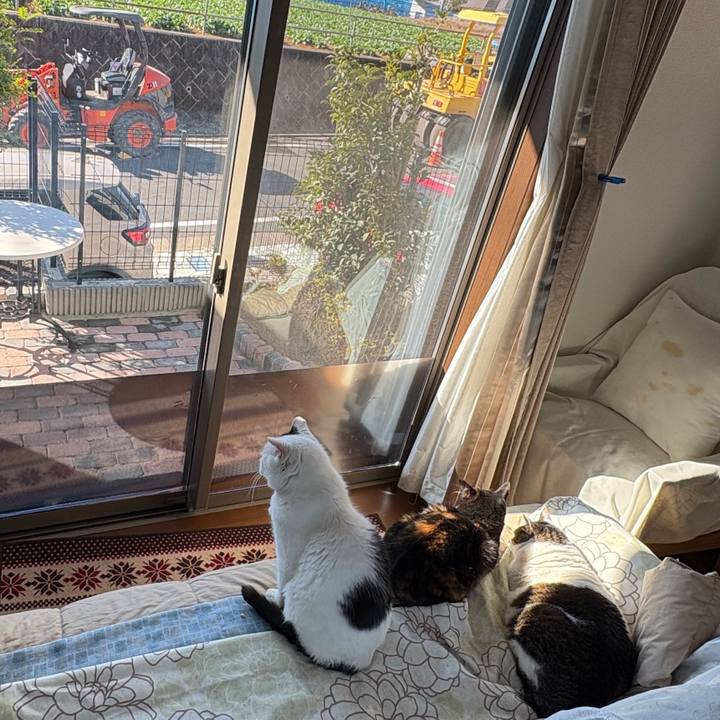 B78c31f2 c562 465b b7ba 1c68030c6caa 1764900845232