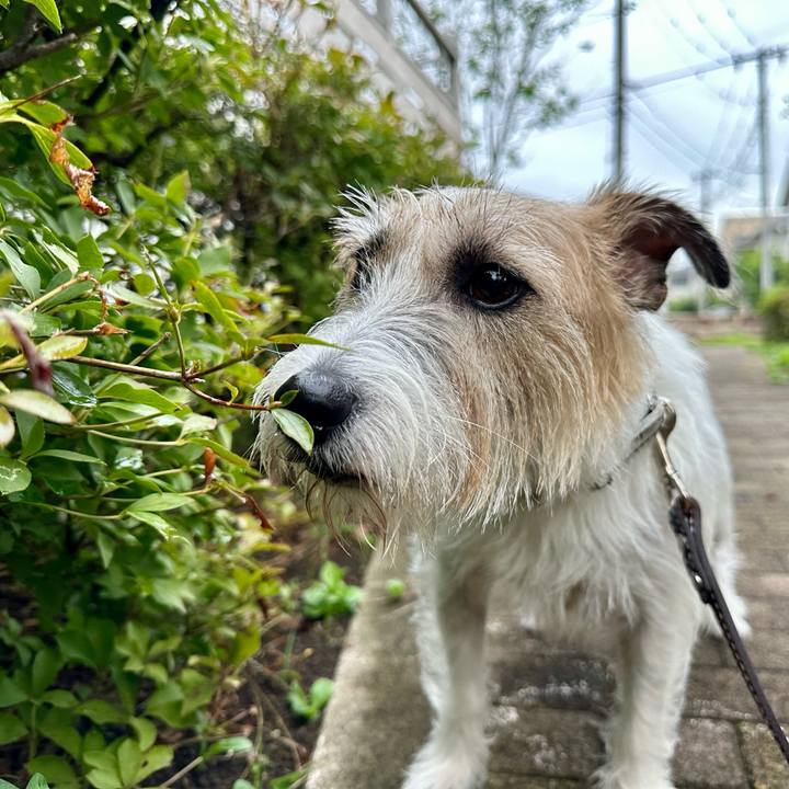 B78c3cd5 6fe2 41bd 8b5e 8c95f02fcd08 1727533224579