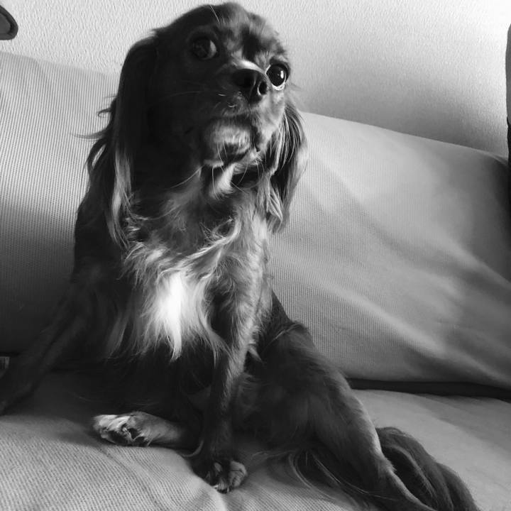 B78c4b50 a1a1 441a af6f 5a6193357110 1530371237011