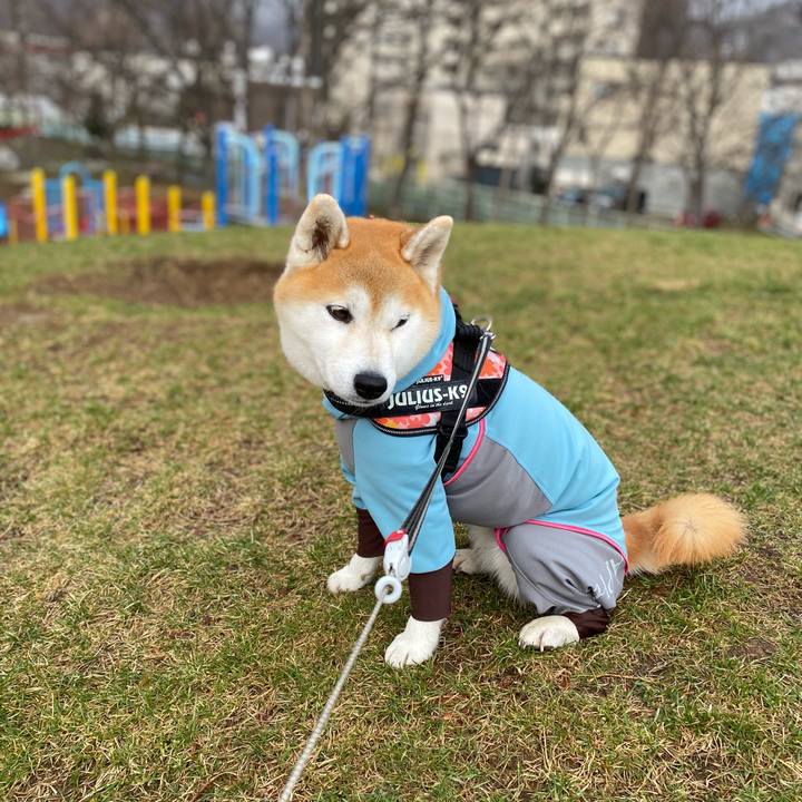 B78c63ab 7832 4934 a8ad 0cb0f225f3e7 1618305191556