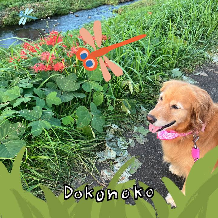 B78c88e7 87b4 4690 89b1 269178a3a9fa 1727350247697