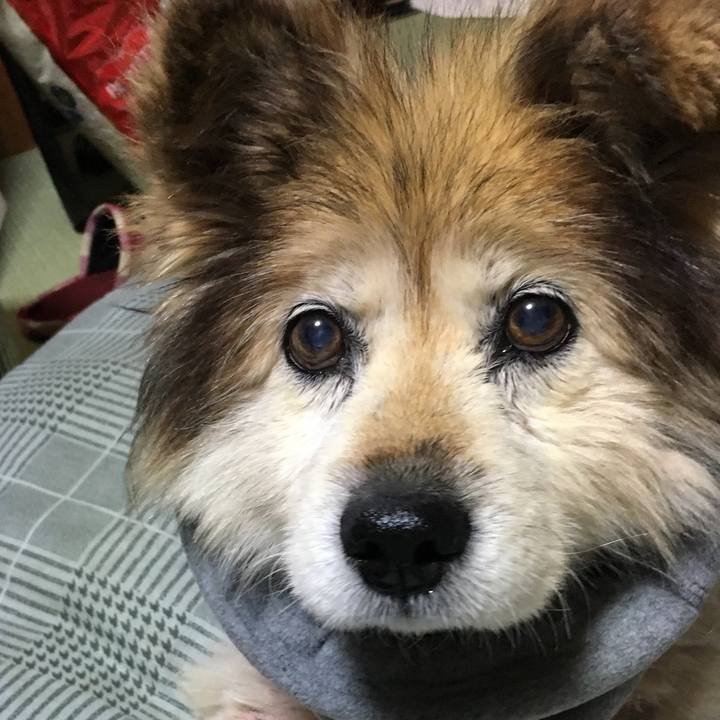 B78c93bc 2f12 4ced aace 70a61ee88f86 1583819157920