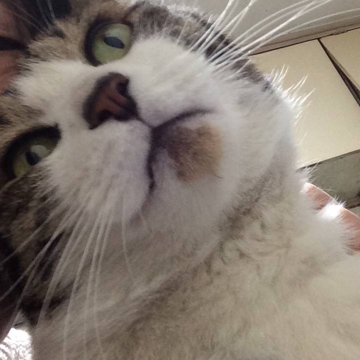 B78caeec 6ff3 429a 814f ae0241741b20 1515133445050