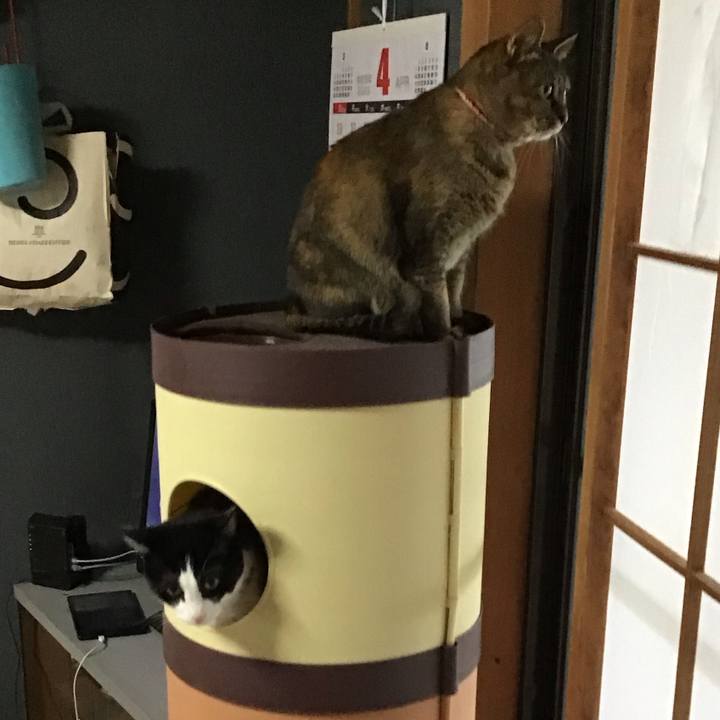 B78cb8eb 7142 40df 95e0 f8ec89529804 1682499282113