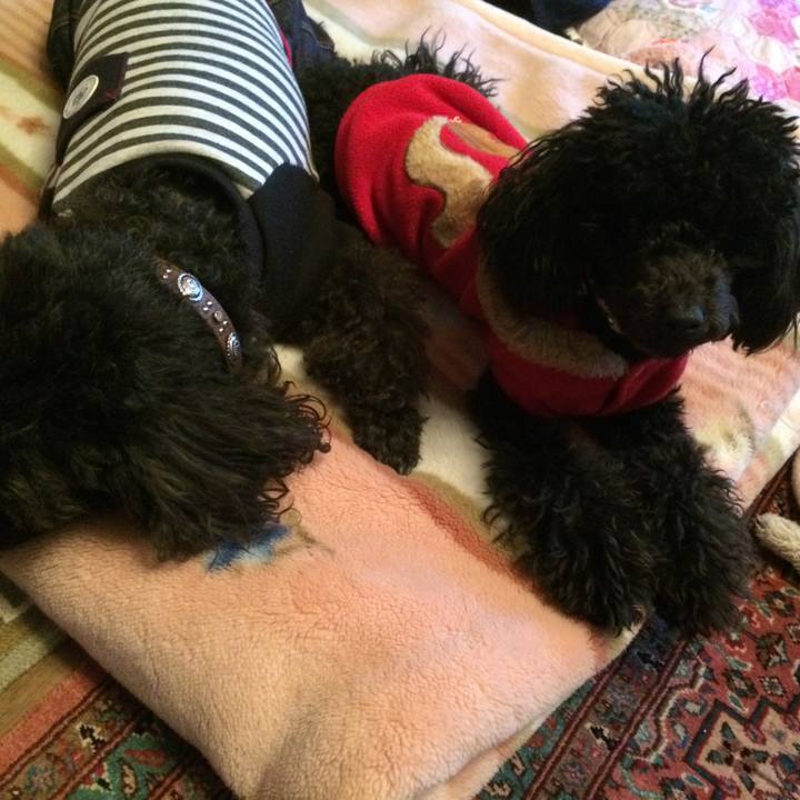 B78ce308 a76b 4bb4 b3f7 d11b7b5c9096 1515970409251