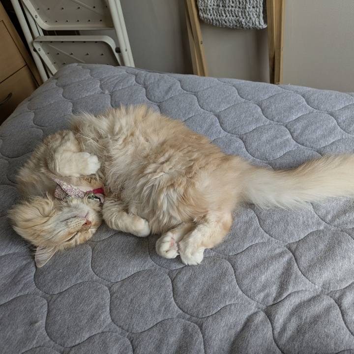 B78d1b8d 5410 4e30 9f53 17858419138c 1759549090600