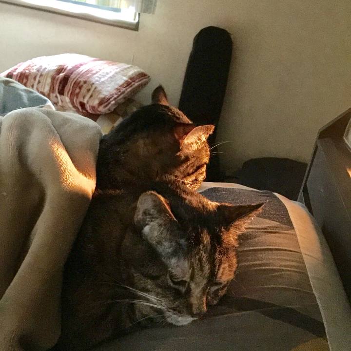 B78d20e6 3328 4b71 a425 b6466001fbeb 1508121751918