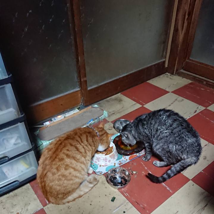 B78d27f6 4e38 4b76 8f62 4b9a15990938 1575277373859