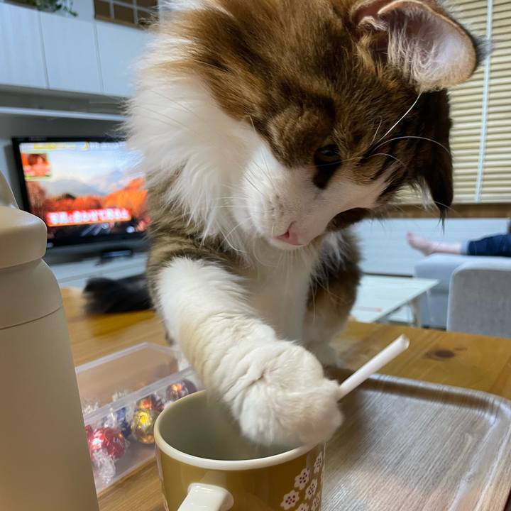 B78d286e 3e10 4468 926b b6b54210a444 1663848864464