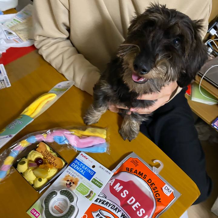 B78d5774 fdf4 48db 80c5 087b8bc8fcf1 1607952834123