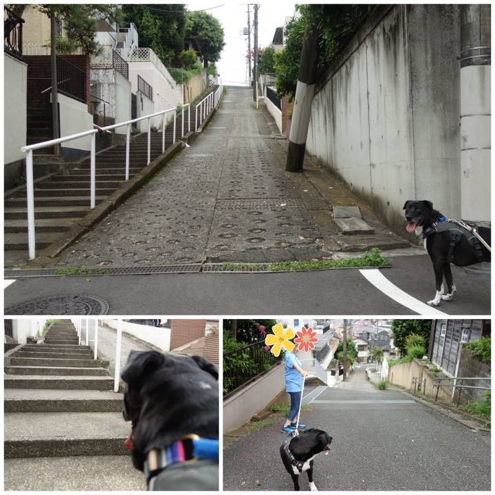 B78dc206 85b9 406e b4f0 847b5d6bafa8 1659744068707