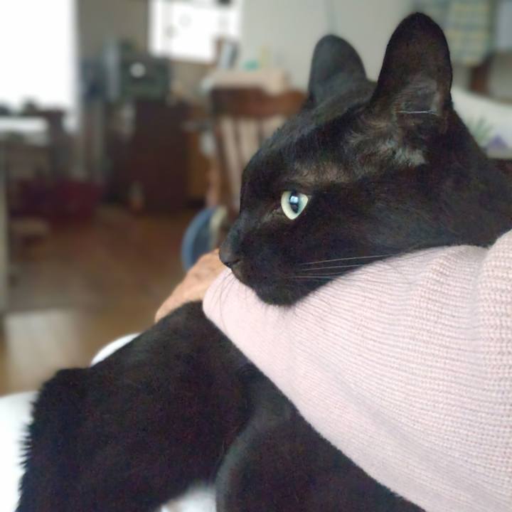 B78ddd23 736e 467c b912 8ad40c9b1d87 1726790341085