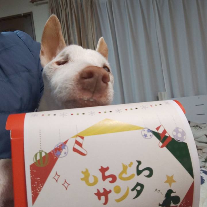 B78e5675 6611 4bdf 83a5 0f00f2413151 1608801955501