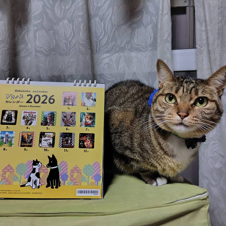 B78e659c 9045 4d64 850a e70ad09691da 1764074871303