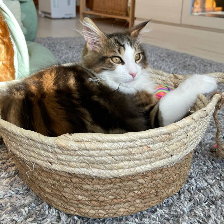 B78e804f cbae 4b2c 92e2 232a60b48f49 1634939096798