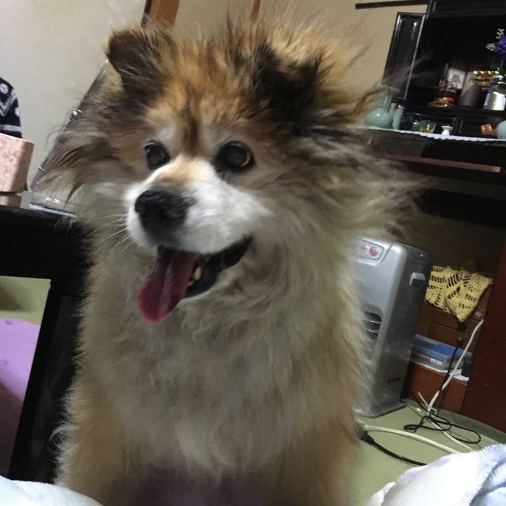 B78ea4c9 1b5d 4a74 849c c6785a153c7f 1580194489610